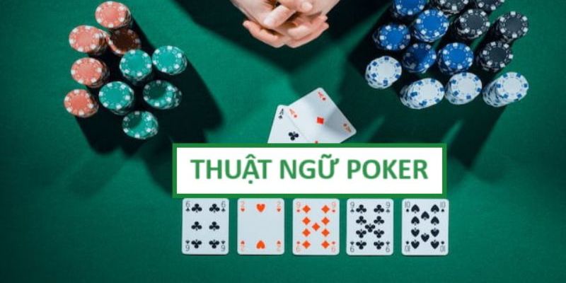 Tổng hợp các thuật ngữ thông dụng trong luật Poker