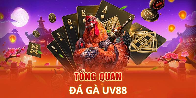 Tìm hiểu đá gà trực tuyến tại UV88